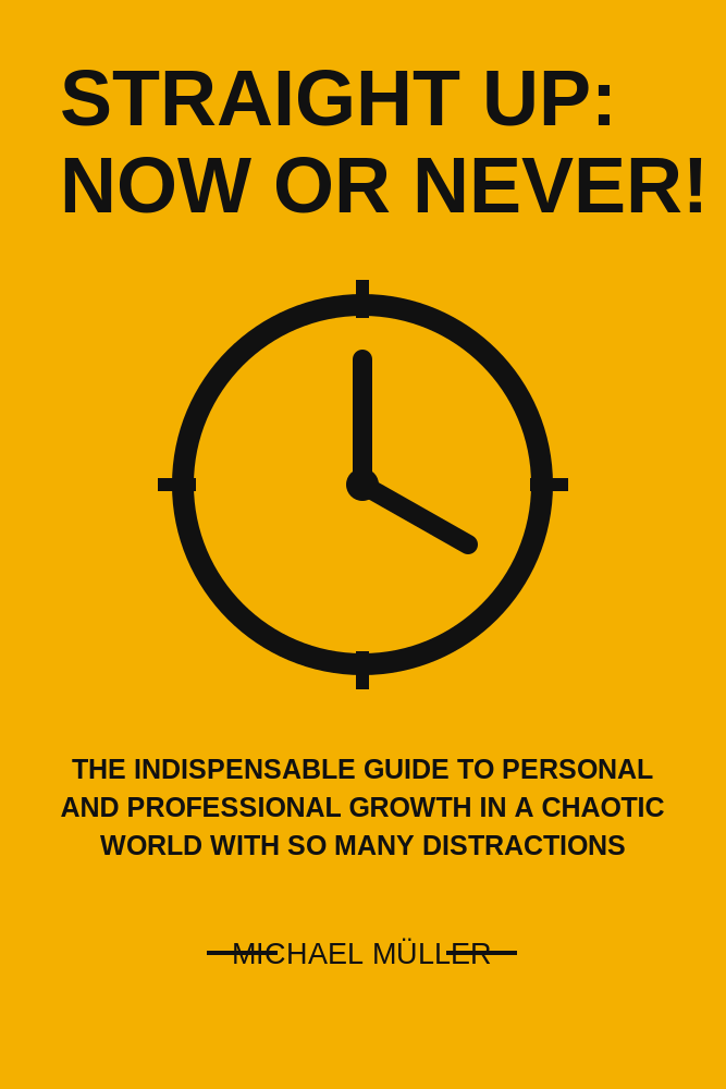 Straight Up: Now Or Never! by Michael Müller book cover