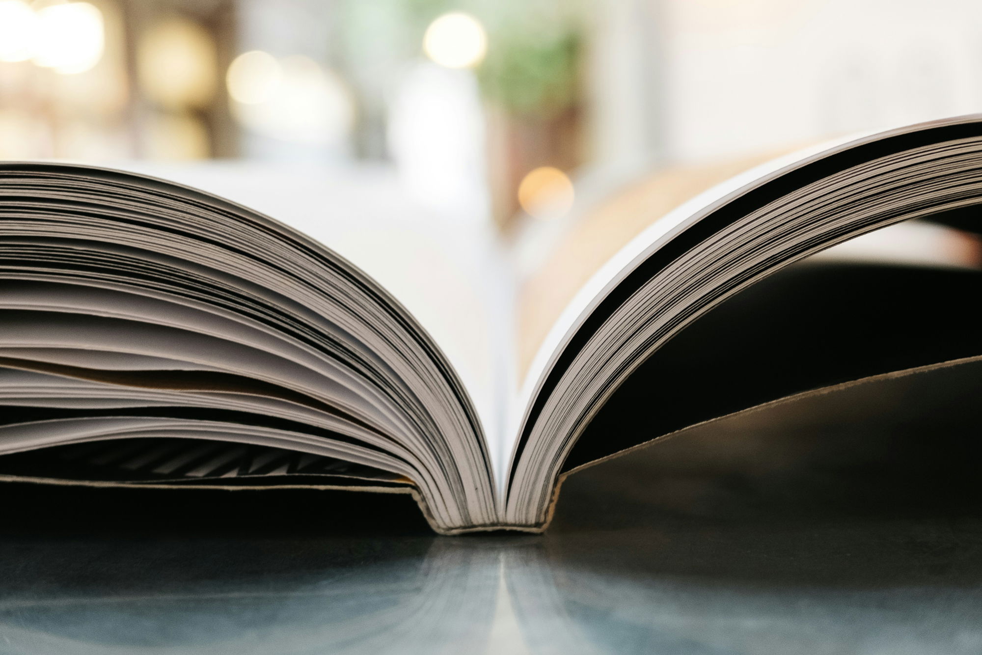 bokeh-photography-of-open-book.jpg bokeh photography of open book