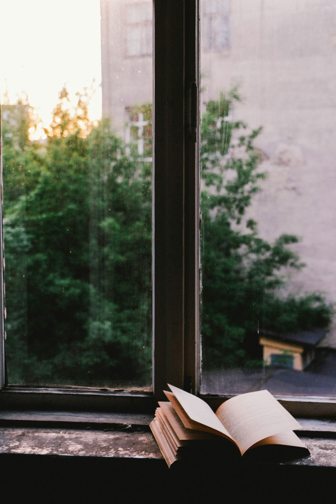 book-near-glass-window.jpg book near glass window