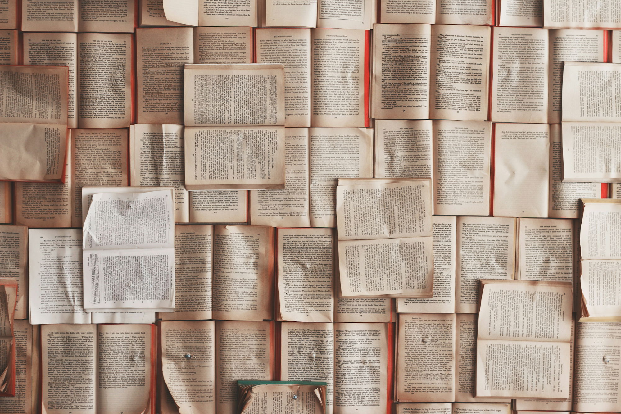 open-book-lot.jpg open book lot